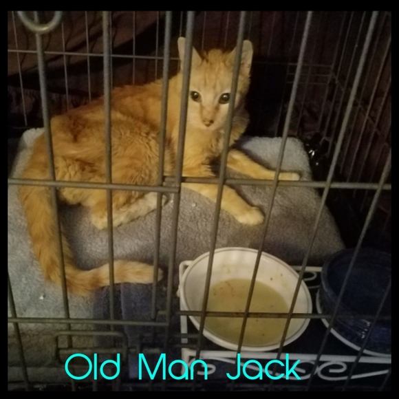 ♡ For the love of animals ♡ - Picture 8 of 8